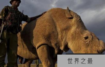 微信截图_20200106102307.png
