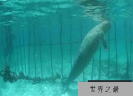微信截图_20200106102307.png