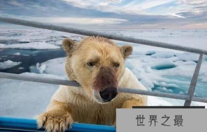 微信截图_20200106102307.png