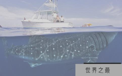 微信截图_20200106102307.png