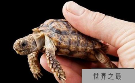 微信截图_20200106102307.png