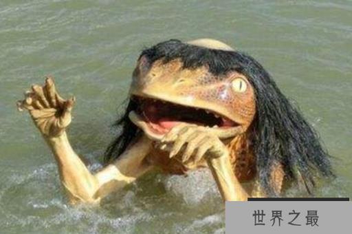 微信截图_20200106102307.png