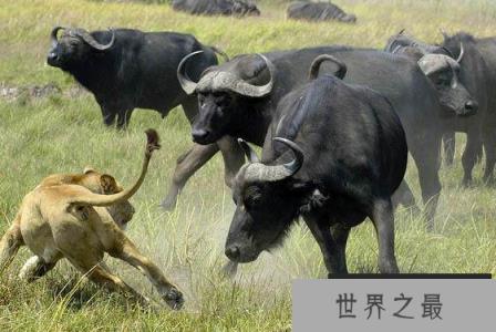 微信截图_20200401111937.png