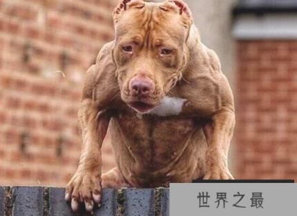 微信截图_20200401111937.png