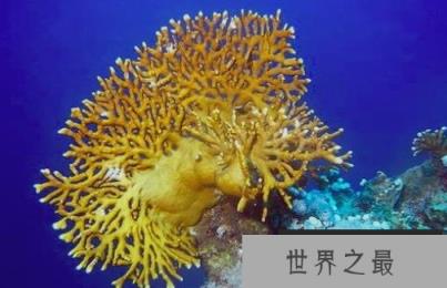 微信截图_20200401111937.png