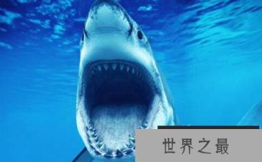 微信截图_20200401111937.png
