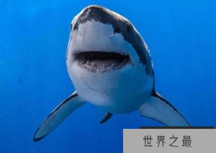 微信截图_20200401111937.png