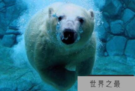 微信截图_20200106102307.png