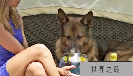微信截图_20200106102307.png