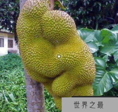 微信截图_20200401111937.png