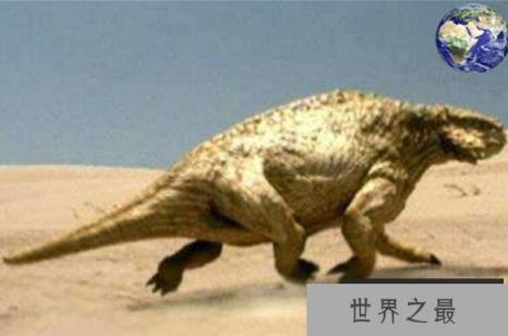 乌龟的祖先是远古爬行动物，体型庞大却以草为食