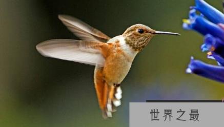 1589507446767929.png 微信截图_20200401111937.png