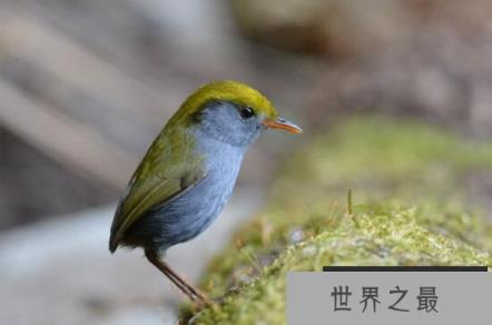 1589507456648666.png 1.png