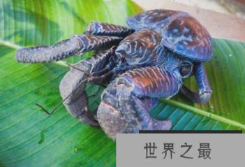 微信截图_20200106102307.png