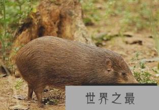 微信截图_20200106102307.png