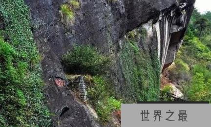 世界上最贵的茶叶，上千万的高价的大红袍