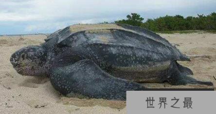 微信截图_20200106102307.png