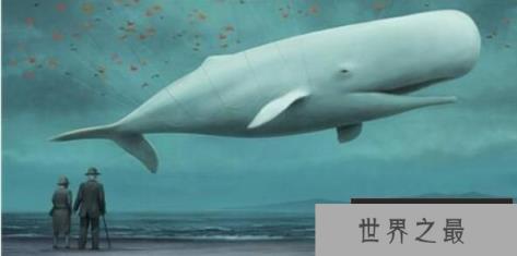 潜水时间最长的鲸：抹香鲸，最深能潜2200米(深海潜水冠军)
