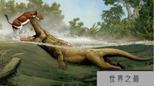 比恐龙还早的八大巨兽排行，陆行鲸活在5亿年前排名第一