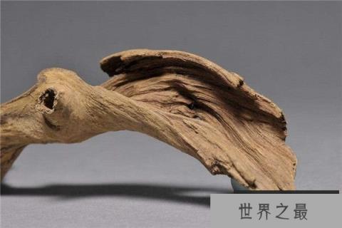 世界上最硬的五大木头排名，红木和黄花梨榜上有名