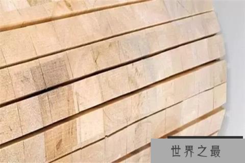 世界上最软的木头：巴沙木，一立方厘米巴沙木仅重0.1g