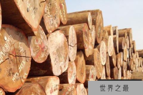 世界上最硬的木头：铁檀，比钢铁还硬，子弹无法穿透