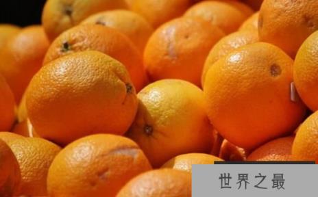 世界上最大的桔子，2.5公斤的南非大桔子(图1)