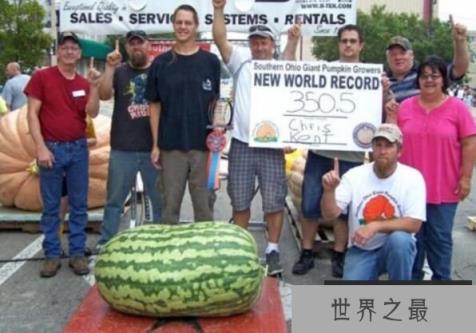 世界上最大的西瓜，重达158公斤，很大但不甜（图2）