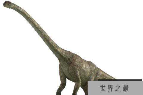 釜庆龙：体长20米的巨型蜥脚龙，韩国发现的少数恐龙之一