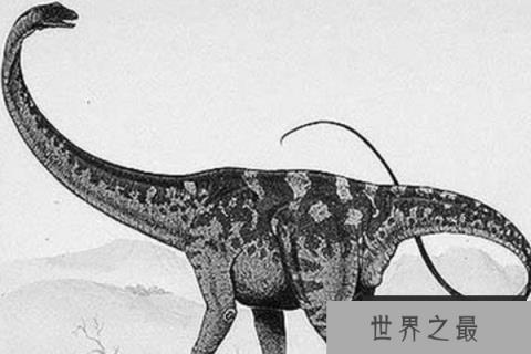 釜庆龙：体长20米的巨型蜥脚龙，韩国发现的少数恐龙之一