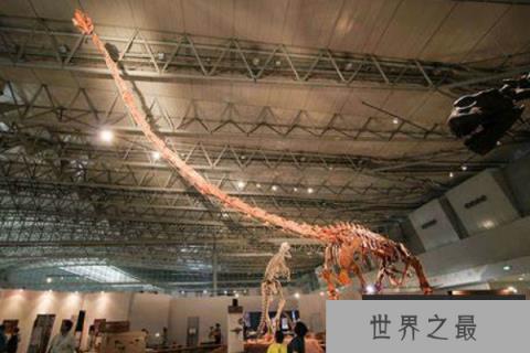 釜庆龙：体长20米的巨型蜥脚龙，韩国发现的少数恐龙之一