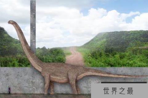 普尔塔龙：世界第三大恐龙(长40米/脖子修长/脑袋宽)