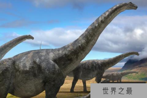 普尔塔龙：世界第三大恐龙(长40米/脖子修长/脑袋宽)