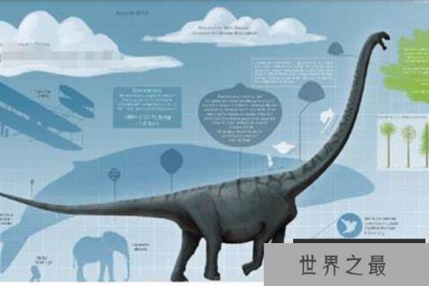 普尔塔龙：世界第三大恐龙(长40米/脖子修长/脑袋宽)