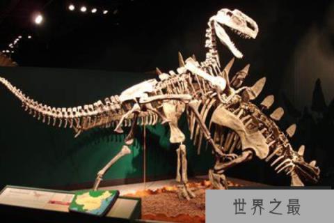 皇家龙：英国出土的小型恐龙(体长4米/种属存疑)