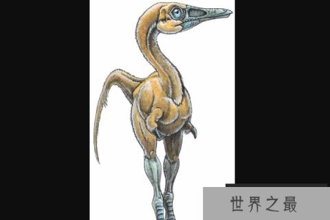 小驰龙：体型超级小的肉食恐龙(长1米/挖掘蚁巢觅食)