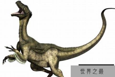 嗜鸟龙：侏罗纪迷你肉食恐龙(长2米/视力超好/奔跑速度快)