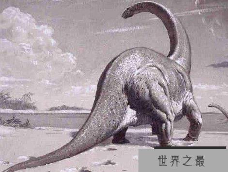 巴拉帕龙：体长18米的蜥脚类恐龙，臀高5.5米的巨型恐龙