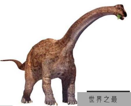 巴拉帕龙：体长18米的蜥脚类恐龙，臀高5.5米的巨型恐龙