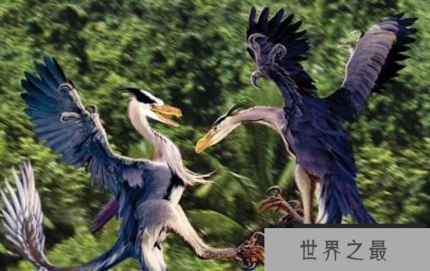 窦鼻龙:辽宁小型杂食性恐龙(长1米/距今1.3亿年)