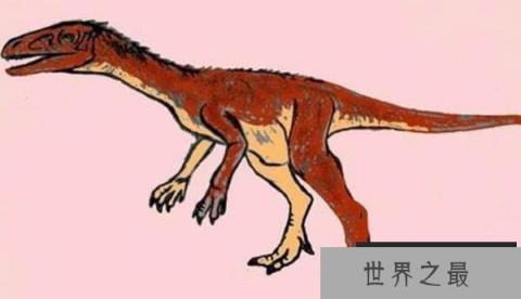 滥食龙（Panphagia）：中三叠世小型杂食恐龙，化石只有部分骨骼