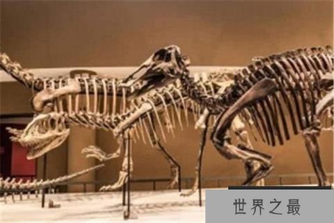 比霍尔龙：小型草食性恐龙（体长3米/缩小版的弯龙）