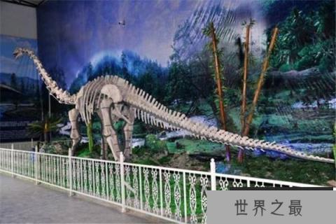 比霍尔龙：小型草食性恐龙（体长3米/缩小版的弯龙）