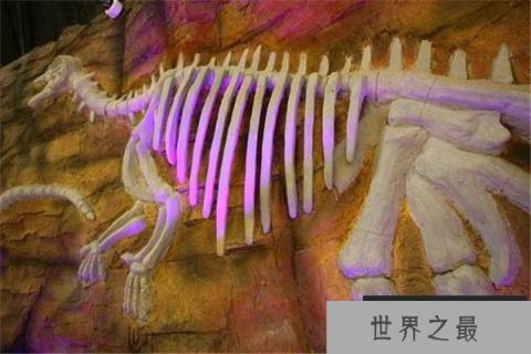 比霍尔龙：小型草食性恐龙（体长3米/缩小版的弯龙）