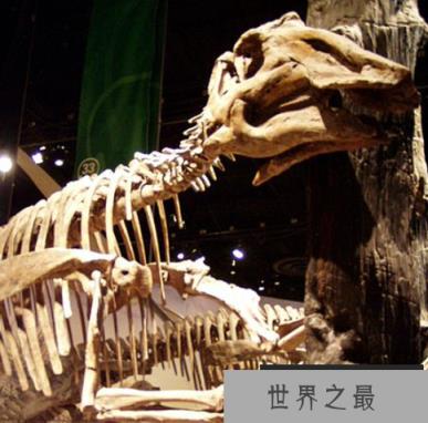 原栉龙：北美大型植食性恐龙(体长8米/有数百颗牙齿)