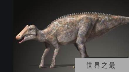 原栉龙：北美大型植食性恐龙(体长8米/有数百颗牙齿)