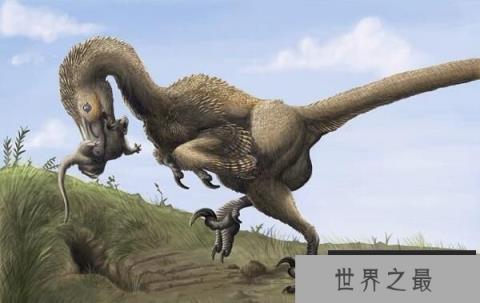 蜥鸟盗龙：北美洲小型食肉恐龙（长1.8米/驰龙科恐龙）