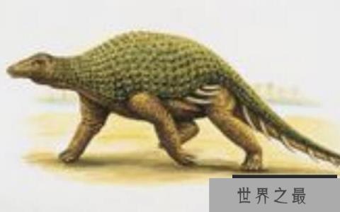 林木龙：北美洲小型食草恐龙，体长4米（性情温和）