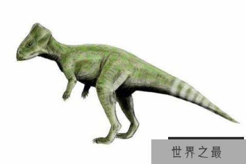 喇嘛角龙(Lamaceratops)：长着三角头盾的小型植食恐龙