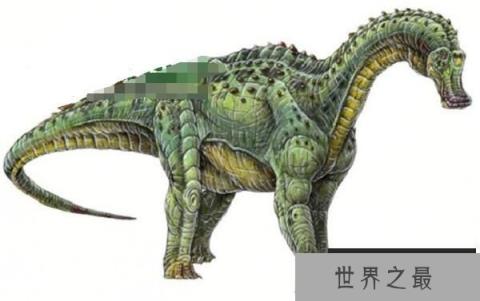博妮塔龙：阿根廷大型食草恐龙(长9米/泰坦巨龙类恐龙)